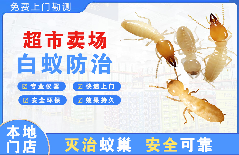 鹰潭超市卖场白蚁防治
