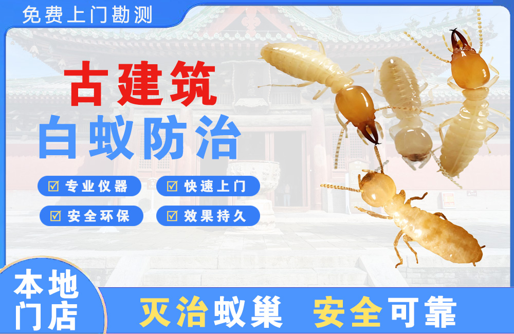 鹰潭古建筑白蚁防治