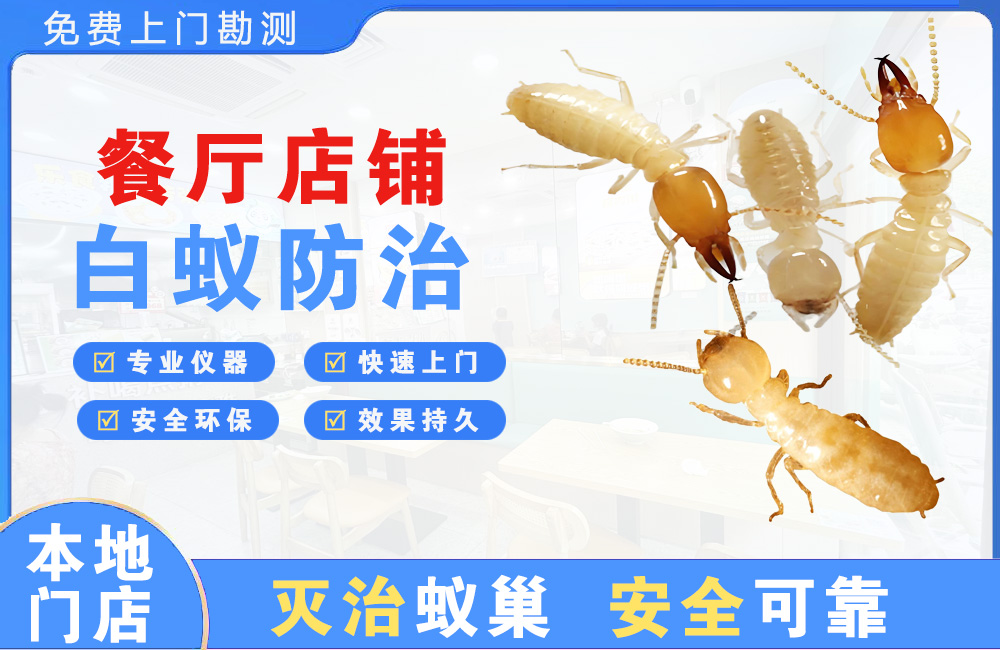 鹰潭餐厅店铺白蚁防治